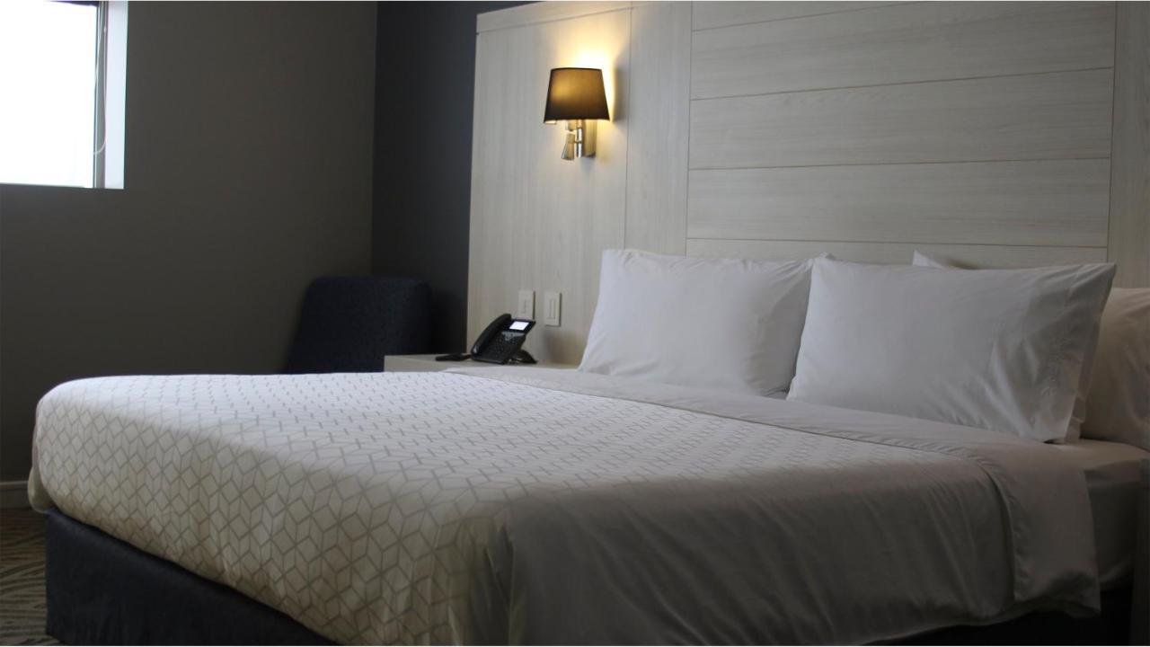 Holiday Inn Express Pachuca By Ihg Eksteriør bilde