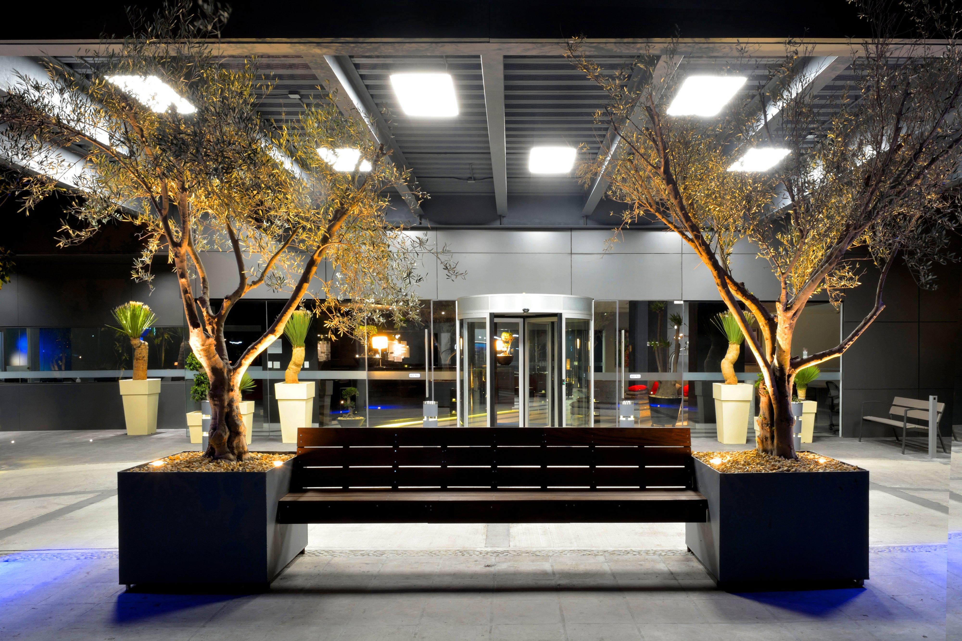Holiday Inn Express Pachuca By Ihg Eksteriør bilde